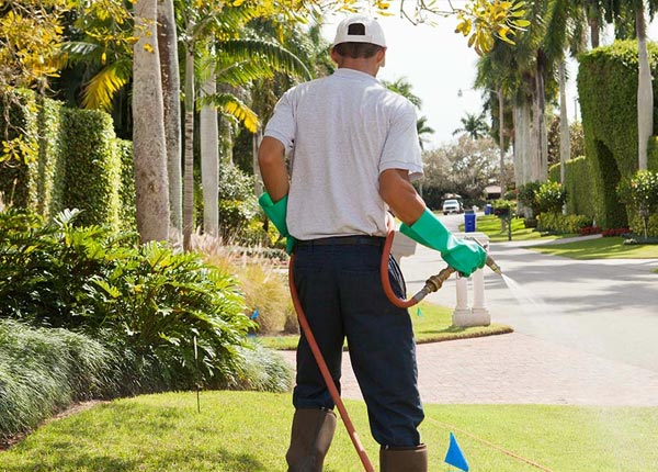 About Elfers FL Pest Control Pros